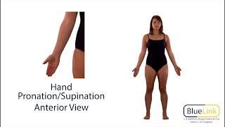 Hand Pronation Supination [upl. by Booma]