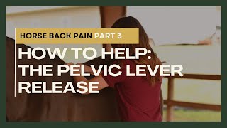 Horse Back Pain Part 3 How to Help The Pelvic Lever Release [upl. by Wassyngton]