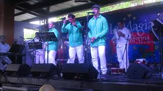 BANDA ANCHA TEREQUE BAR IBAGUE [upl. by Bambie]