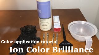 Color Application tutorial  Ion Color Brilliance for beginners [upl. by Saddler]