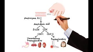 Pharmacology  NSAIDs amp PROSTAGLANDIN ANALOGS MADE EASY [upl. by Akihdar]