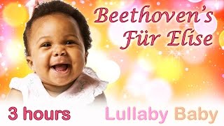 ☆ 3 HOURS ☆ Beethoven Für Elise ☆ Relaxing PIANO ☆ Beethoven for Babies Baby Sleep Music [upl. by Seda]