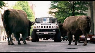 Evan Almighty 810 Movie CLIP  Theres Going to Be a Flood 2007 HD [upl. by Hutchings]