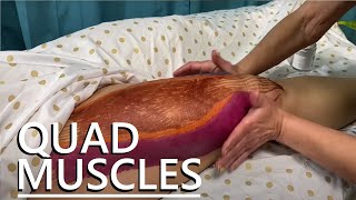 How to Massage the Quadriceps [upl. by Eppesuig]