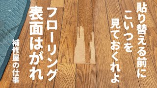 【フローリング補修】表面が劣化して単板が剥がれてしまったフローリングを直します。 [upl. by Nuarb985]