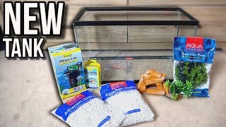 NEW 10G AQUARIUM FISH TANK SETUP [upl. by Solracsiul]