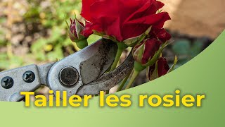 Comment tailler les rosiers [upl. by Dunham]