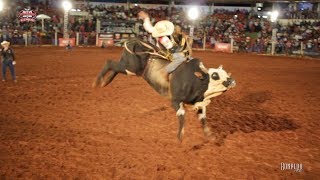 Rodeio de Colorado 2018  FINAL EM TOUROS [upl. by Sheelah]