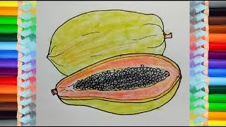 How to draw a papaya step by step  Fruits Drawing easy [upl. by Mill815]