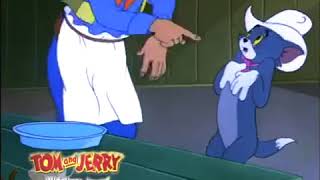 Tom and Jerry DVD amp Video Collection Trailer [upl. by Gleda]