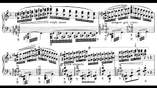 Liszt Réminiscences de Don Juan S418 Masaru Okada [upl. by Arahsat]