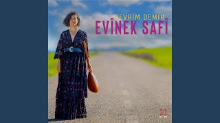 Evînek Safî [upl. by Watkin]