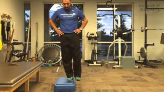 BEST Quad Exercise  Eccentric Step [upl. by Obellia928]