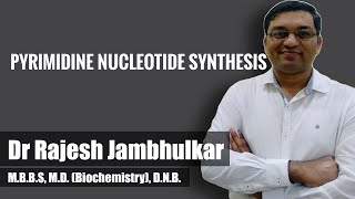 Pyrimidine nucleotide synthesis and degradation [upl. by Pratte]