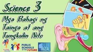 Mga Bahagi ng Tainga at ang Tungkulin Nito  SCIENCE 3 K12 Video Lesson SUlong Edukalidad [upl. by Alpheus]