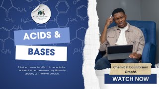 Chemistry  Chemical Change  Chemical Equilibrium Graphs [upl. by Trela]