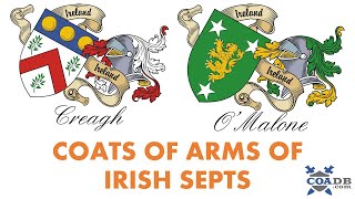 Irish Family Crest Not AngloIrish [upl. by Haberman348]