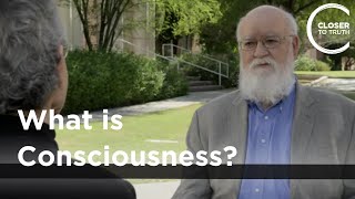 Daniel C Dennett  What is Consciousness [upl. by Ykcim788]