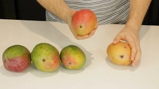 How to Tell If a Mango is Ripe [upl. by Rriocard119]