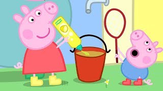 Bubbles and Balloons Adventure 🎈  Peppa Pig Full Episodes [upl. by Edrick237]