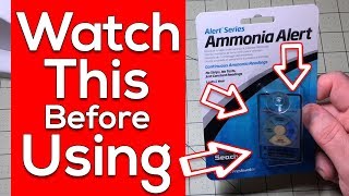 Seachem Ammonia Alert Facts  Ammonia Testing Made Easy MUST SEE [upl. by Rajewski]