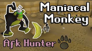 OSRS Maniacal Monkey Guide AFK Hunter Training [upl. by Raye]