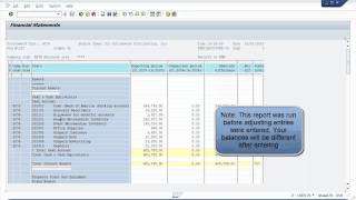 SAP Run Financial Statements [upl. by Enyrhtak767]