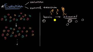 Evolution through variation and natural selection [upl. by Matias643]