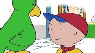 Caillou English Full Episodes  Wheres Gilbert  Videos For Kids  Caillou New HD [upl. by Iak]