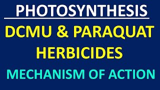 DCMU amp Paraquat Herbicides [upl. by Lotte]