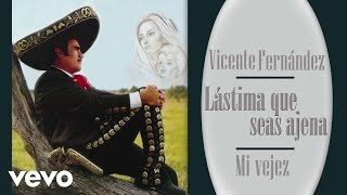 Vicente Fernández  Mi Vejez Cover Audio [upl. by Refinne342]