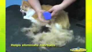 FURMINATOR DEMONSTRATION [upl. by Acinna]