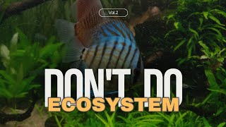 10 Things to AVOID in Ecosystem Tank part2 [upl. by Falcone]