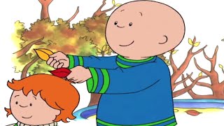 Caillou et les Plaisirs Dautomne  Caillou en Français [upl. by Malo]