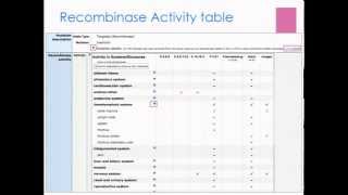 crelox and cre recombinases in Mouse Genome Informatics worksheet module 2 [upl. by Babbette]