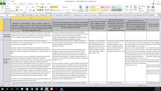 How to Create a Literature Matrix Excel [upl. by Walford891]