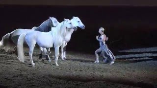 Liberty with 3 horses  Sylvia Zerbini  Night of the Horse 2016  Del Mar National Horse Show [upl. by Aicram]