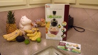 Yonanas Healthy Dessert Maker Review  Yonanas Frozen Treat Maker  Antioxidantfruits [upl. by Yoral]