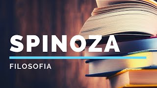 2 Spinoza la concezione di filosofia [upl. by Ecnatsnoc]