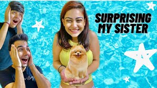 SURPRISING MY SISTER WITH A NEW DOG  Rimorav Vlogs [upl. by Berck]