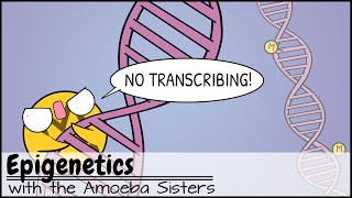 Epigenetics [upl. by Anilahs208]