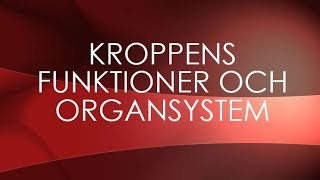 Människokroppen  organsystem [upl. by Shipman]