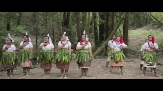 The First Vision Told Through Traditional Tongan Dance [upl. by Gipsy]