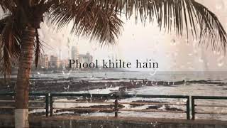 Zindagi Ke Safar Mein lyrics video [upl. by Tomkiel]