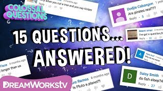 15 Quick Questions Answered  COLOSSAL QUESTIONS [upl. by Ahseel154]