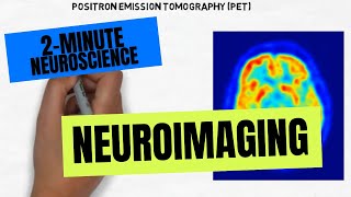 2Minute Neuroscience Neuroimaging [upl. by Blanchette]