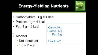 Easy Guide How to Calculate Calories [upl. by Hamaso]