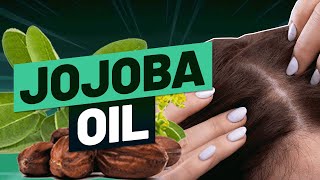 Does Jojoba Oil Improve Hair Growth What The Science Says… [upl. by Yecnay15]