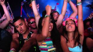 TomorrowWorld 2014  Borgore [upl. by Ahsinawt]