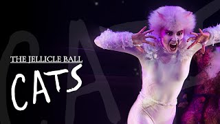 Cats The Musical — Jellicle Ball Live Performance  Press Launch Paris 2015 HD [upl. by Ahsatsana]